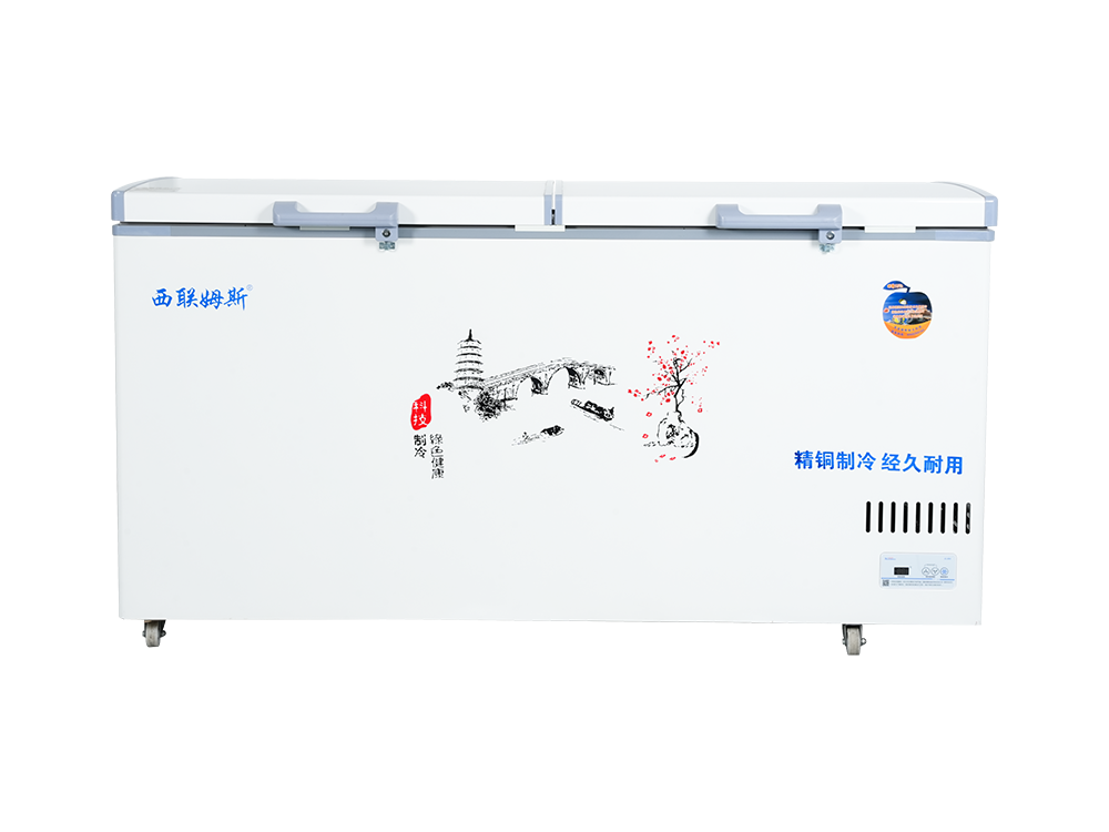 Double-door upright dual-temperature standard freezer